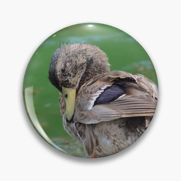 Item preview, Duck Preening Its Feathers designed and sold by BackyardBirder.