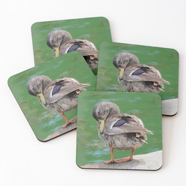 Item preview, Duck Preening Its Feathers designed and sold by BackyardBirder.