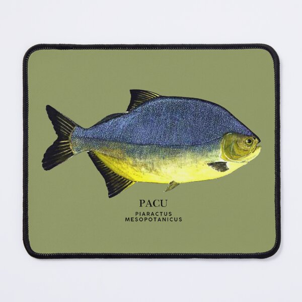 Item preview, Pacu designed and sold by AmazonSelf.