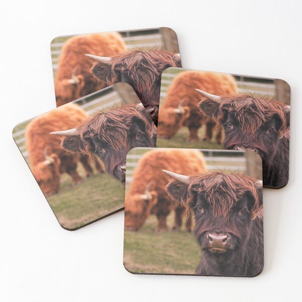 Item preview, Highland Hair designed and sold by Jim Love.