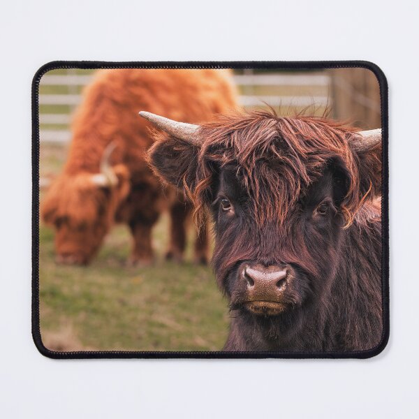 Item preview, Highland Hair designed and sold by Jim Love.