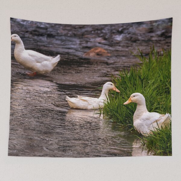 Item preview, Duckie Day designed and sold by Jim Love.