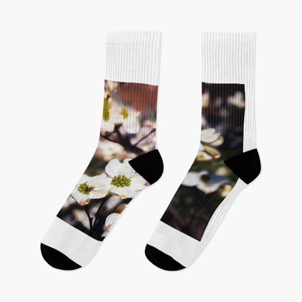 Item preview, Dogwood On A Warm Spring Day designed and sold by Jim Love.