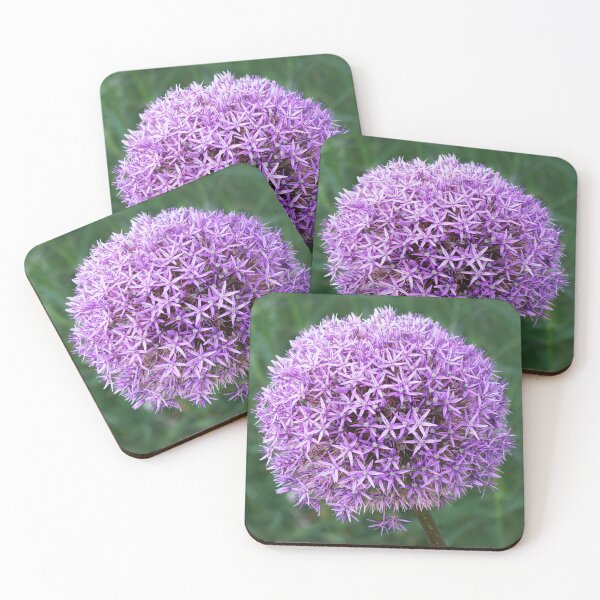 Item preview, Allium designed and sold by HilaryRoberts.