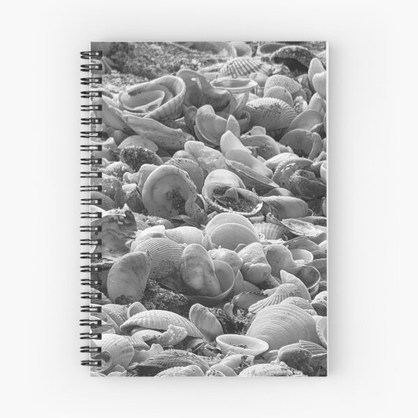 Item preview, Shells in black and white designed and sold by Jmb67.