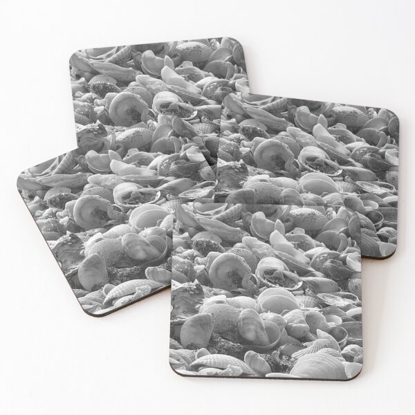 Item preview, Shells in black and white designed and sold by Jmb67.