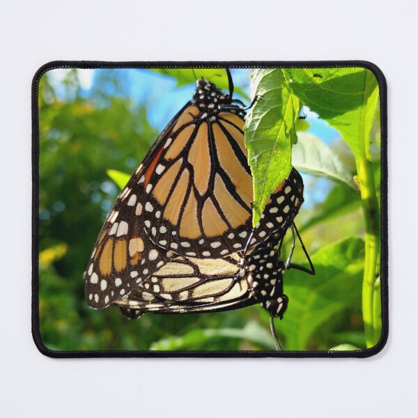 Item preview, Monarch Love in Nature's Embrace designed and sold by Earth Snaps.