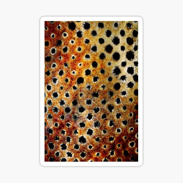 Rust Leopard Sticker