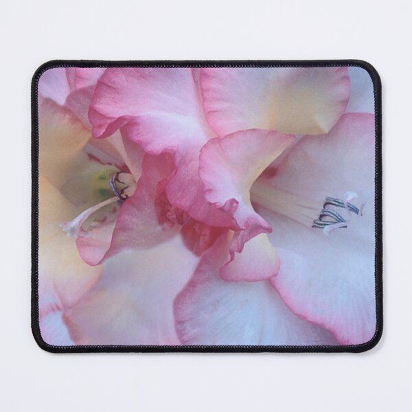 Item preview, Gladiolus designed and sold by HilaryRoberts.
