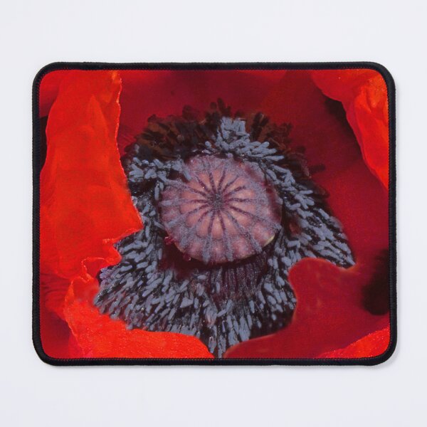 Item preview, Poppy designed and sold by HilaryRoberts.