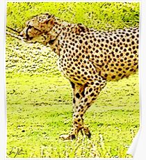 “Champion Of The Sprint”, Photo / Digital Painting Poster