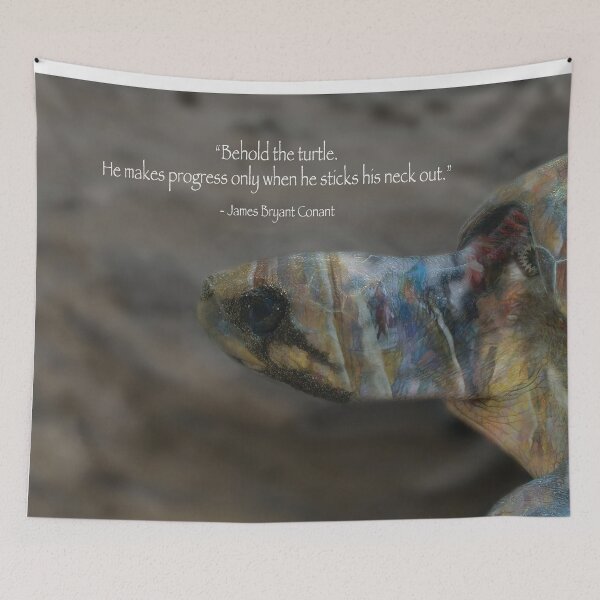 Item preview, Behold the Turtle designed and sold by Wayne King.
