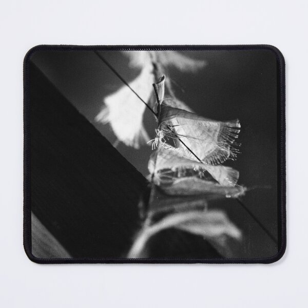 Item preview, Strange Wishes designed and sold by Schoenenwald — Art Japonais, Zen & Nature.