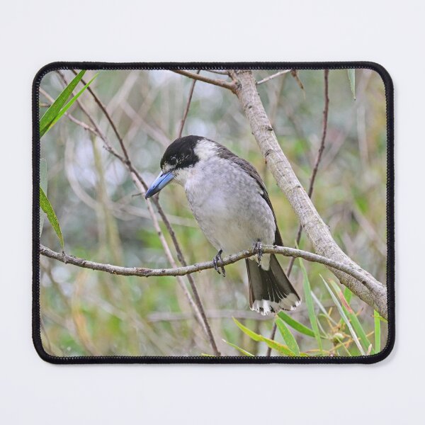 Item preview, Australian butcher bird designed and sold by Doug Cliff.