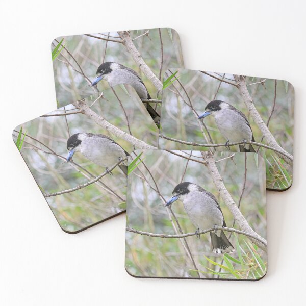 Item preview, Australian butcher bird designed and sold by Doug Cliff.