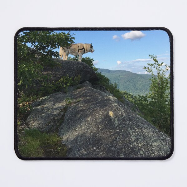 Item preview, The View from Rattlesnake Ridge - Boof as Akela designed and sold by Wayne King.