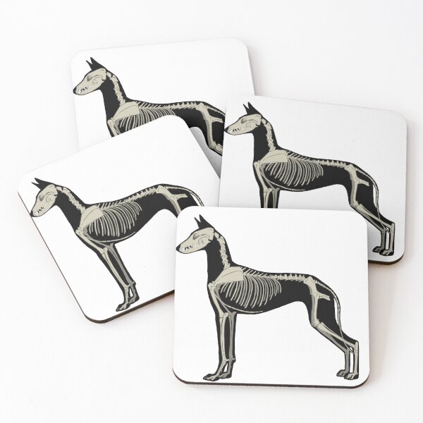Item preview, Ibizan Hound Skeleton- Natural  designed and sold by Spinyflowerart.