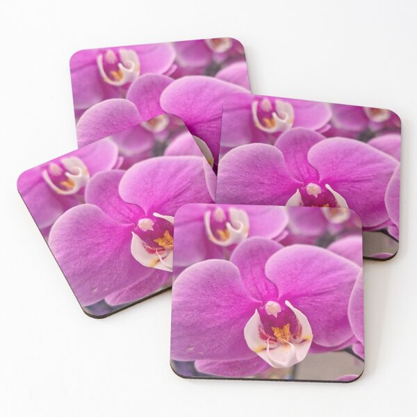 Item preview, Soaking Up The Beauty designed and sold by Betsy Phillips.