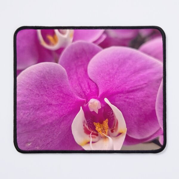Item preview, Soaking Up The Beauty designed and sold by Betsy Phillips.