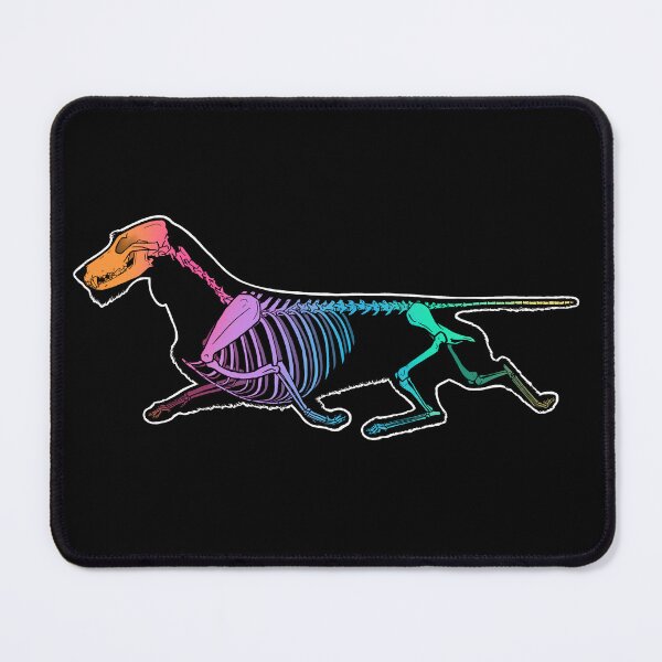 Item preview, Dachshund (Wirehaired) Skeleton - Rainbow designed and sold by Spinyflowerart.
