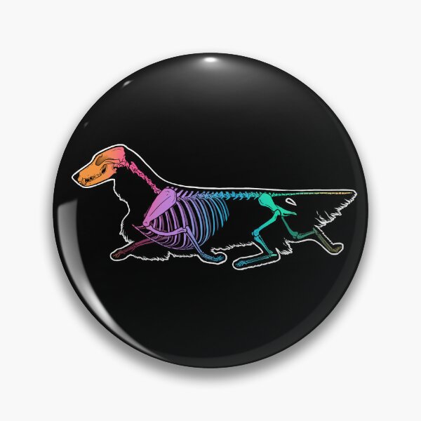 Item preview, Dachshund (Longhaired) Skeleton - Rainbow designed and sold by Spinyflowerart.