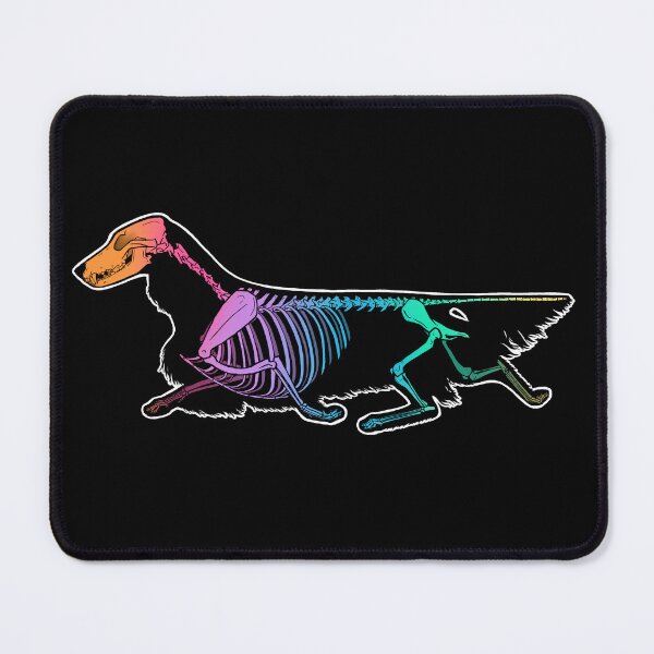 Item preview, Dachshund (Longhaired) Skeleton - Rainbow designed and sold by Spinyflowerart.