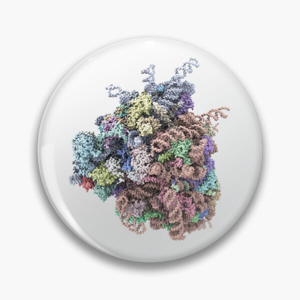 Item preview, Human 80S Ribosome designed and sold by maisielabmouse.