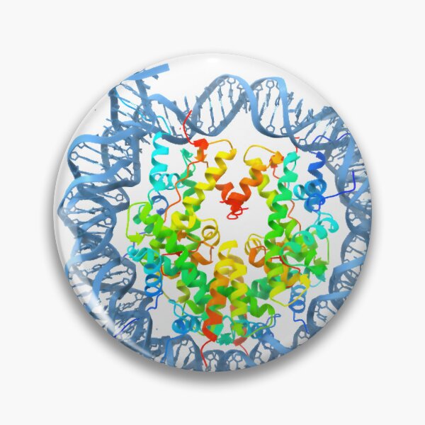 Item preview, Nucleosome structure designed and sold by maisielabmouse.