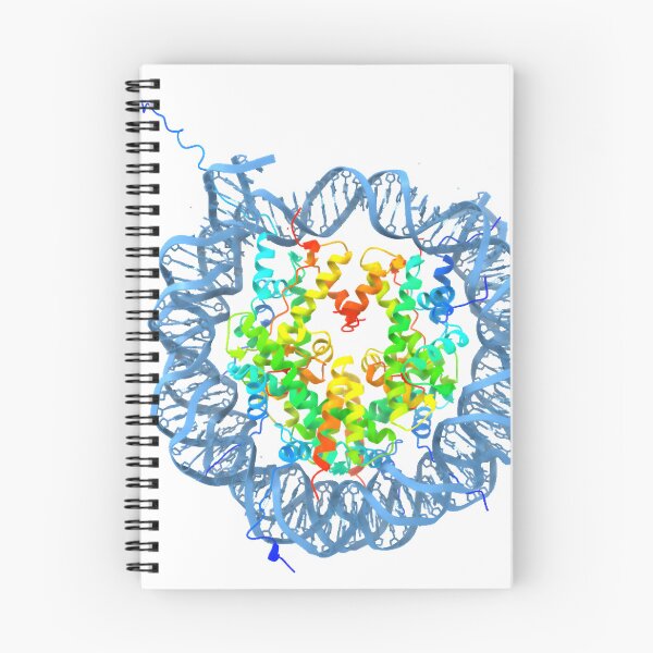 Item preview, Nucleosome structure designed and sold by maisielabmouse.