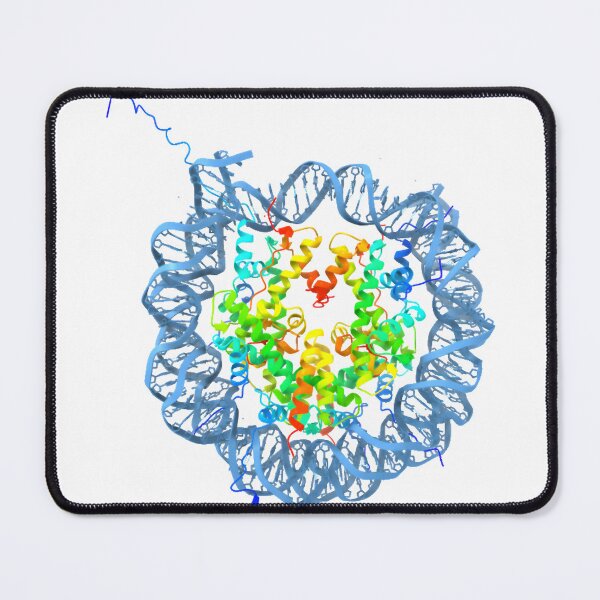 Item preview, Nucleosome structure designed and sold by maisielabmouse.