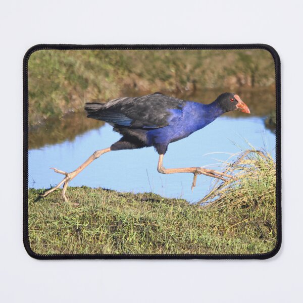 Item preview, Turbo Chook designed and sold by Melville.Collective.