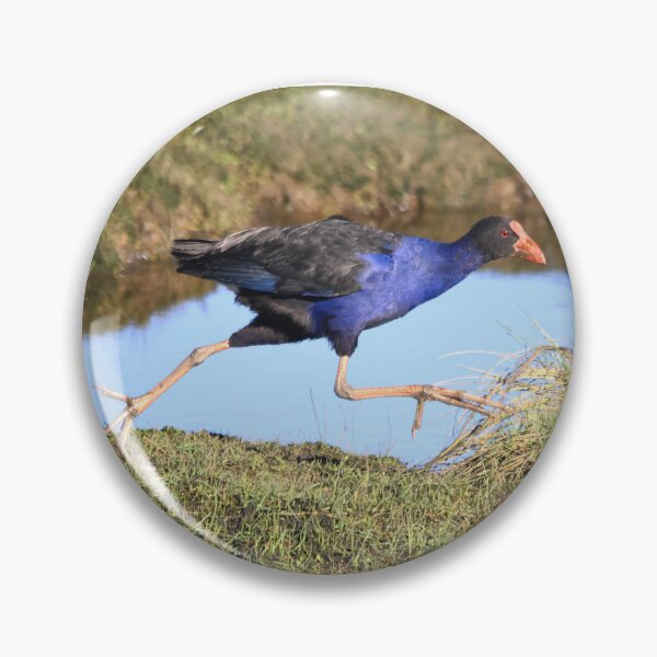 Item preview, Turbo Chook designed and sold by Melville.Collective.