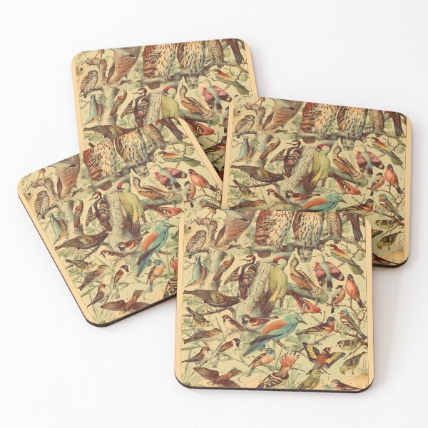 Item preview, Adolphe-Millot---Oiseaux-Espces-Utiles-02---French vintage ornithology poster designed and sold by NinaKlose.