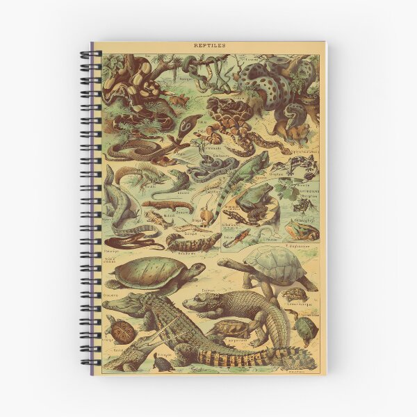 Item preview, Adolphe Millot Reptile Pour Tous designed and sold by EdeltraudBaier.