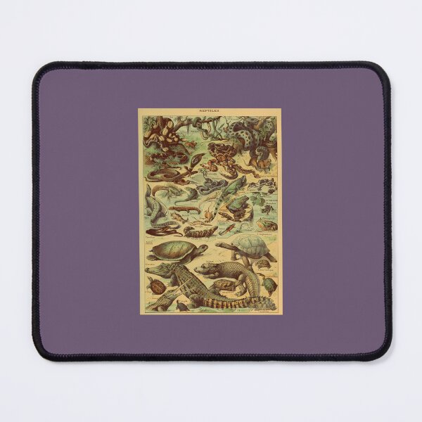 Item preview, Adolphe Millot Reptile Pour Tous designed and sold by EdeltraudBaier.