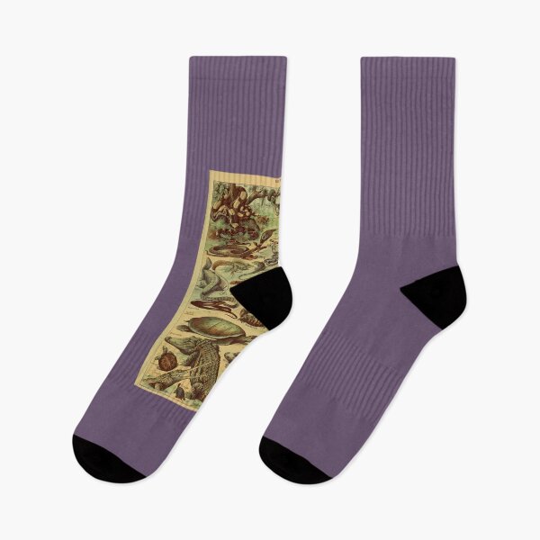 Item preview, Adolphe Millot Reptile Pour Tous designed and sold by EdeltraudBaier.
