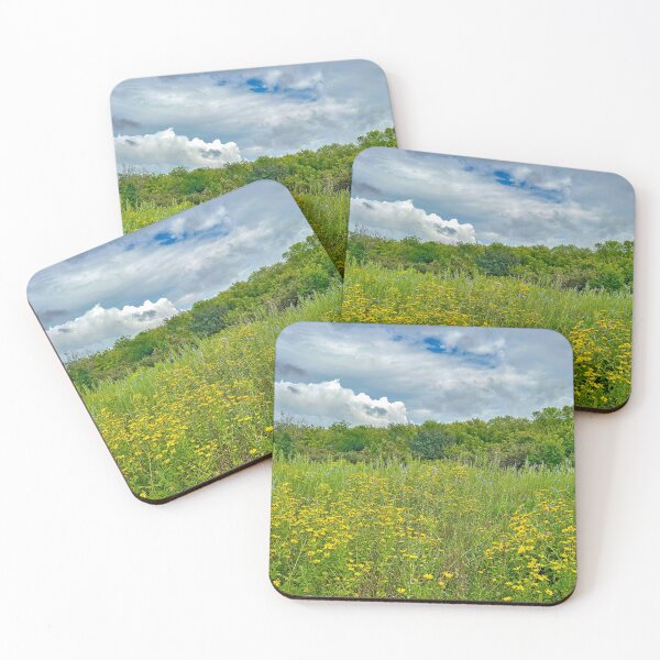 Item preview, Lewis and Clark Rest Area IA Study 1 designed and sold by Robert Meyers-Lussier.