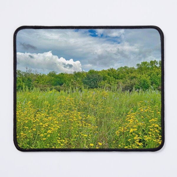 Item preview, Lewis and Clark Rest Area IA Study 1 designed and sold by Robert Meyers-Lussier.