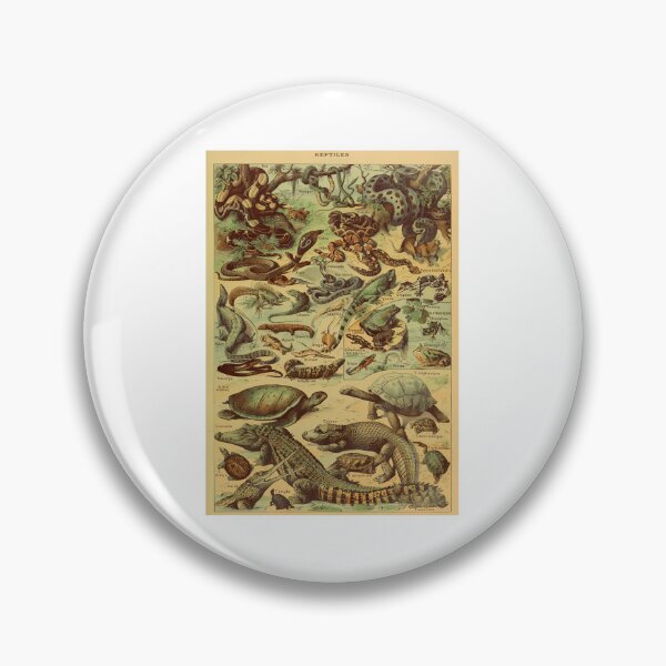 Item preview, Adolphe Millot Reptile Pour Tous designed and sold by DannyStumpf.