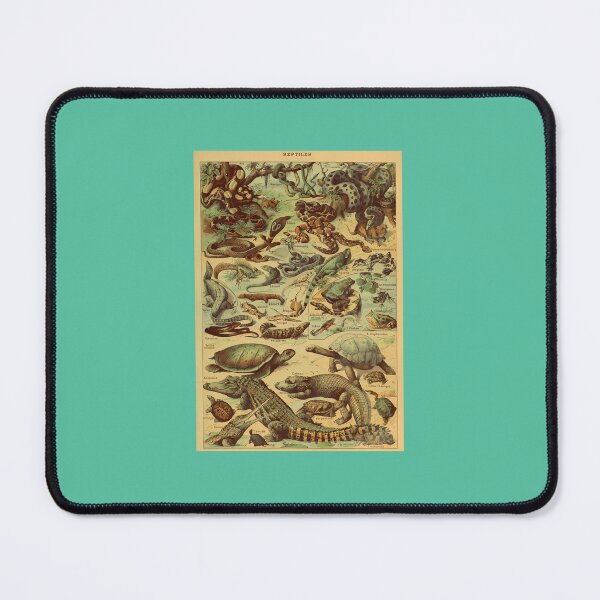 Item preview, Adolphe Millot Reptile Pour Tous designed and sold by DannyStumpf.