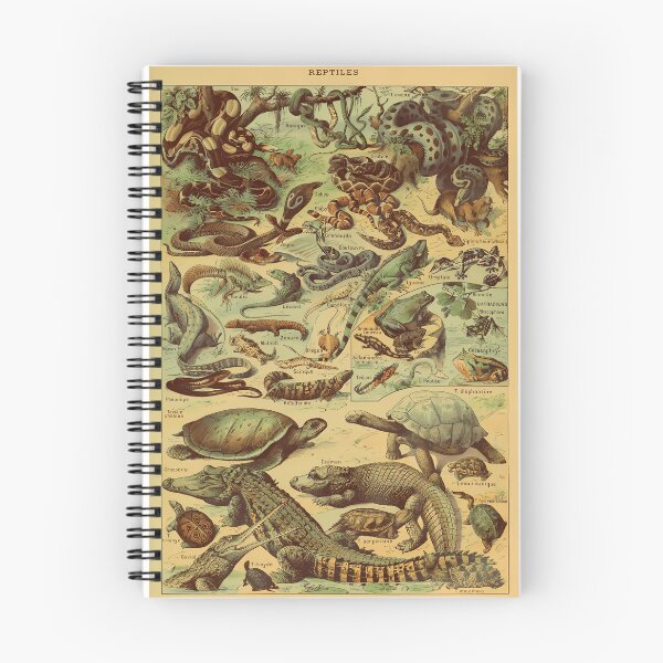Item preview, Adolphe Millot Reptile Pour Tous designed and sold by DannyStumpf.