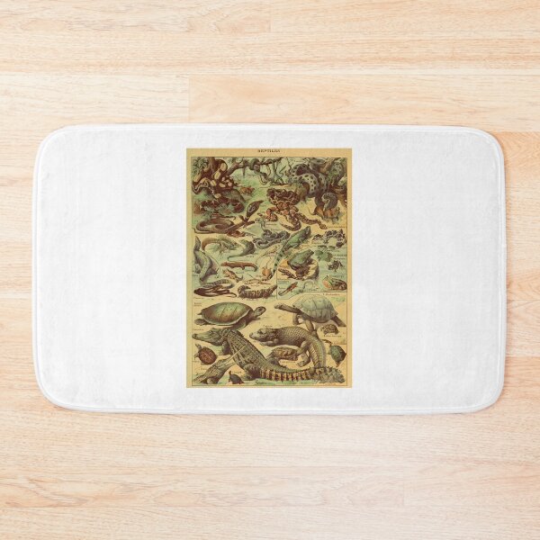 Item preview, Adolphe Millot Reptile Pour Tous designed and sold by DannyStumpf.