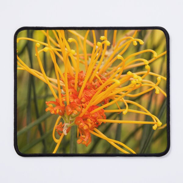 Item preview, orange yellow grevillea spikes designed and sold by Esther Frieda.