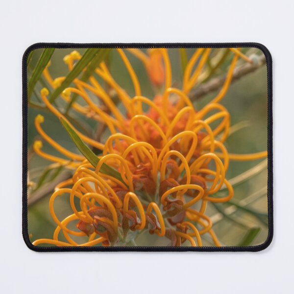 Item preview, yellow grevillea loops designed and sold by Esther Frieda.