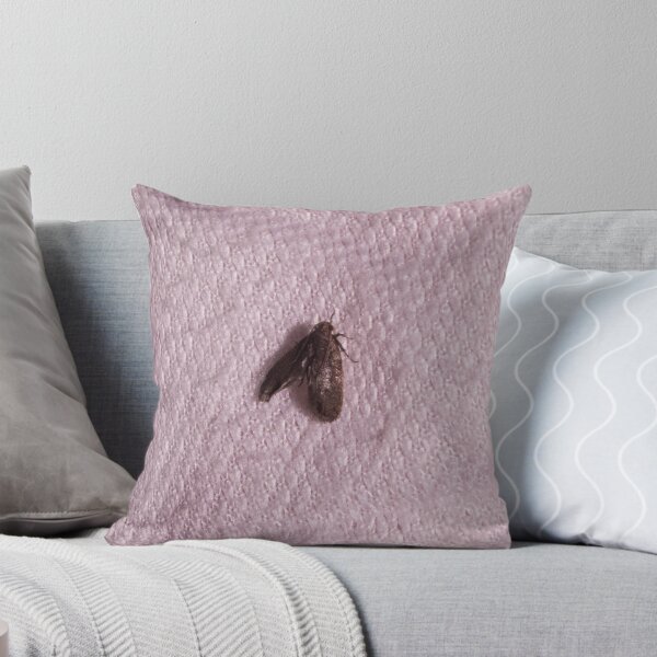 Item preview, Pantry Moth designed and sold by ROSE ANN BANILAR.