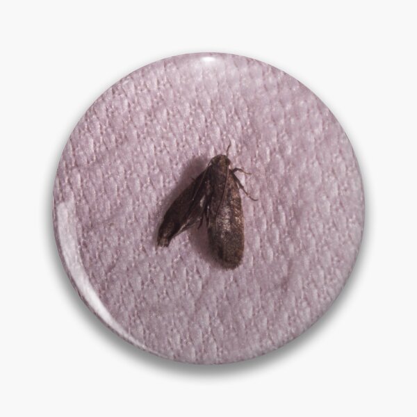 Item preview, Pantry Moth designed and sold by ROSE ANN BANILAR.