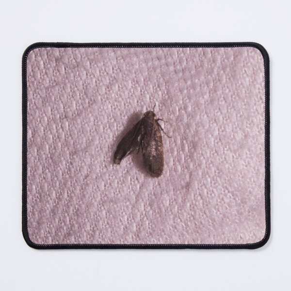 Item preview, Pantry Moth designed and sold by ROSE ANN BANILAR.