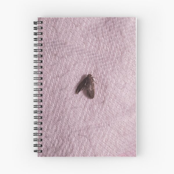 Item preview, Pantry Moth designed and sold by ROSE ANN BANILAR.