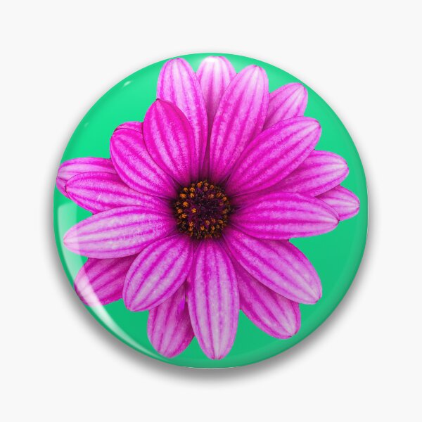 Artikelvorschau, Punky Pink Petals entworfen und verkauft von margotb70.