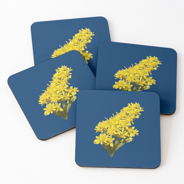 Item preview, Solidago Gigantea Wildflower Botanical Vector Illustration  designed and sold by taiche.